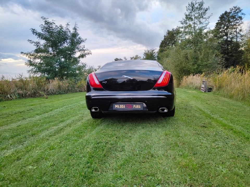 Jaguar XJ z białą dekoracją ślubną